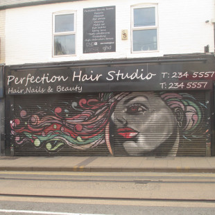 Perfection Hair Studio